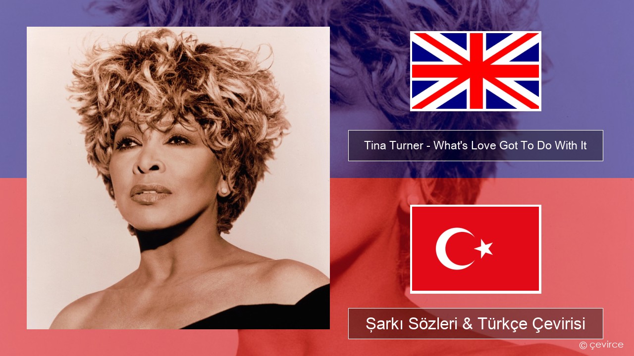 Tina Turner – What’s Love Got To Do With It İngilizce Şarkı Sözleri & Türkçe Çevirisi