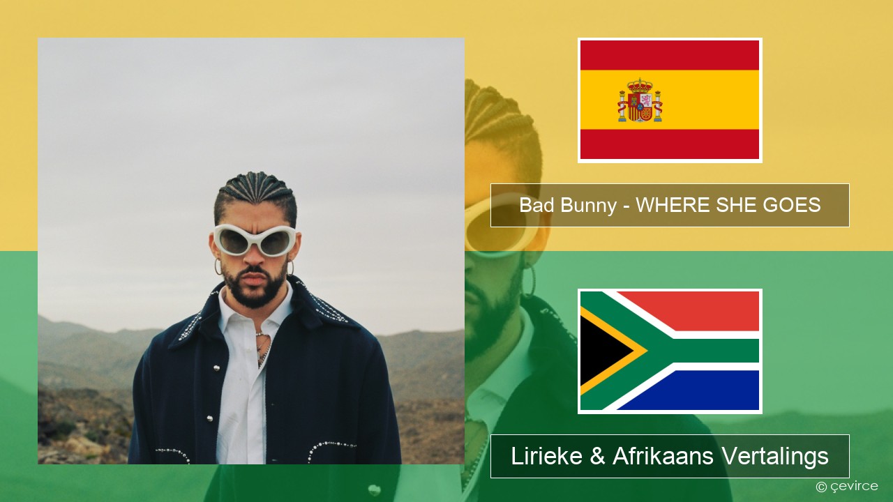 Bad Bunny – WHERE SHE GOES Spaanse Lirieke & Afrikaans Vertalings