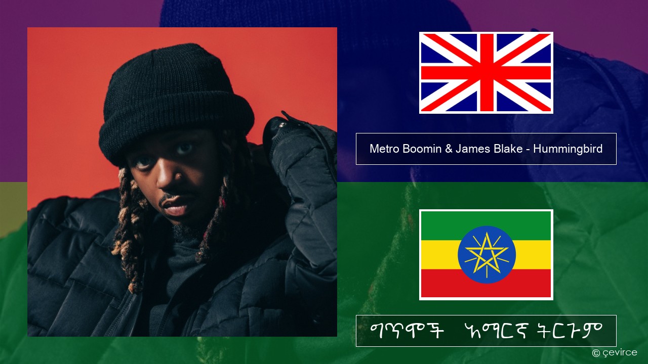 Metro Boomin & James Blake – Hummingbird አማርኛ ግጥሞች & አማርኛ ትርጉም