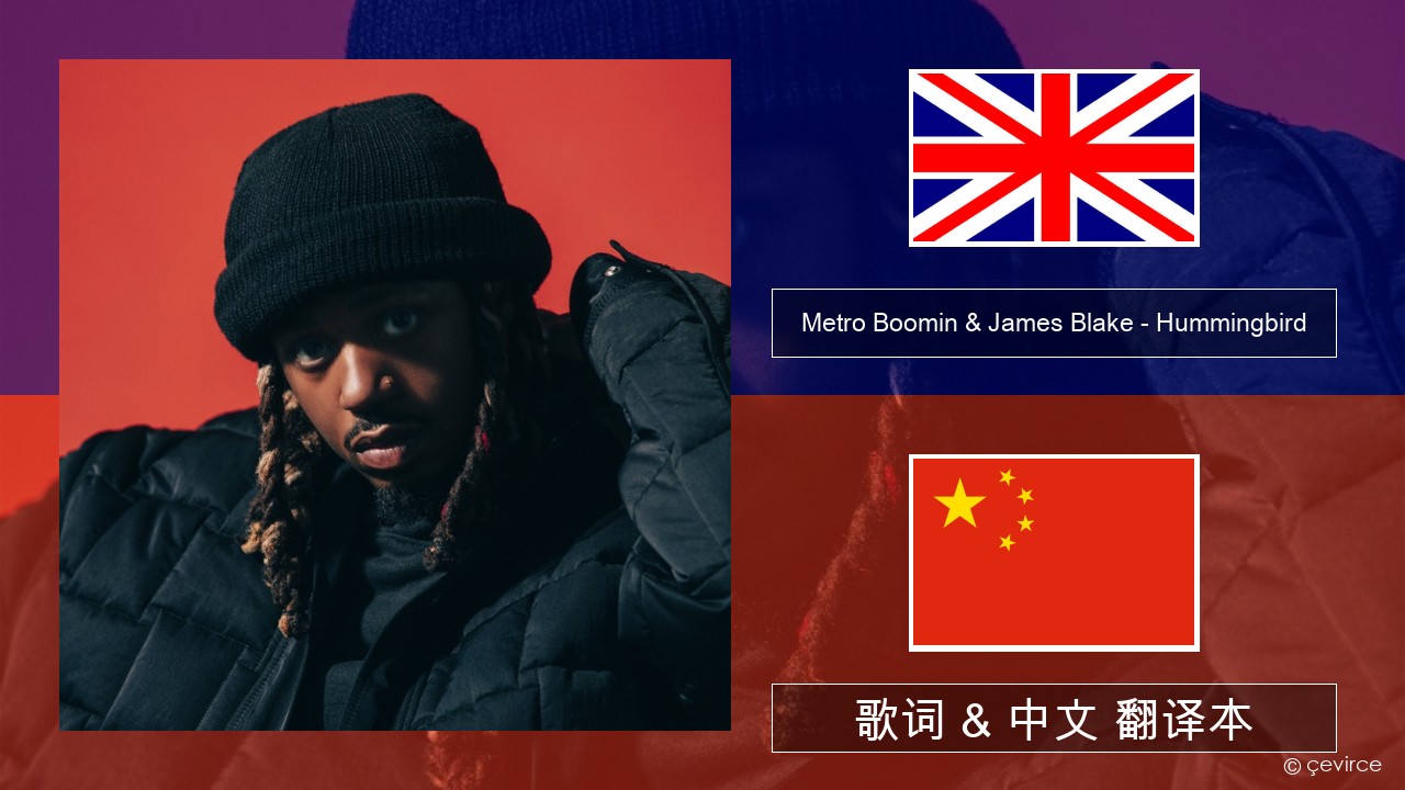 Metro Boomin & James Blake – Hummingbird 英语 歌词 & 中文 翻译本