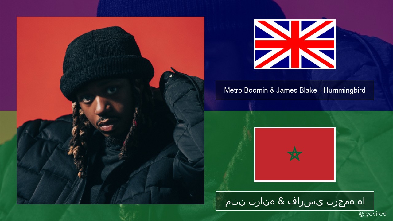 Metro Boomin & James Blake – Hummingbird فارسی متن ترانه & فارسی ترجمه ها