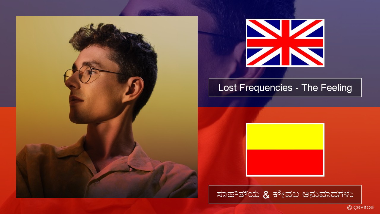 Lost Frequencies – The Feeling ಇಂಗ್ಲೀಷ್ ಸಾಹಿತ್ಯ & ಕೇವಲ ಅನುವಾದಗಳು