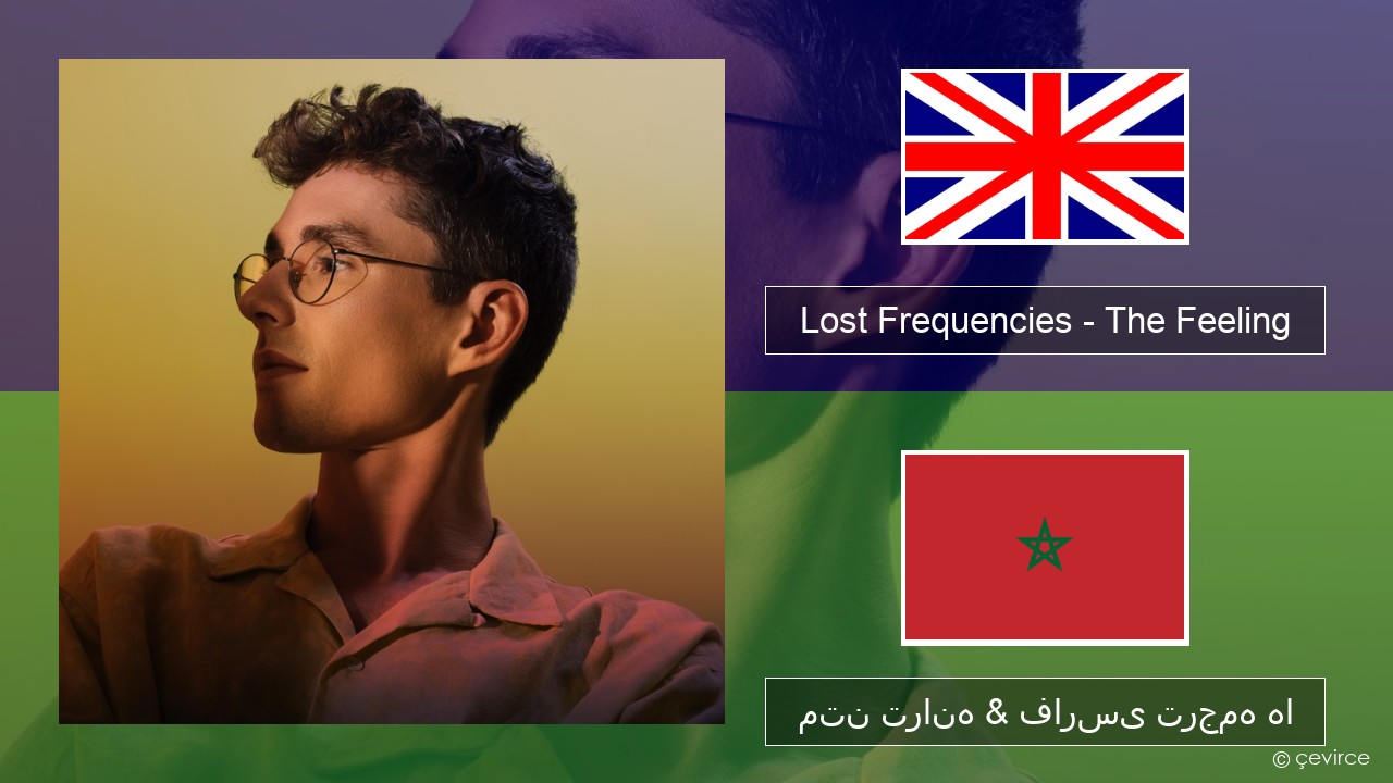 Lost Frequencies – The Feeling فارسی متن ترانه & فارسی ترجمه ها