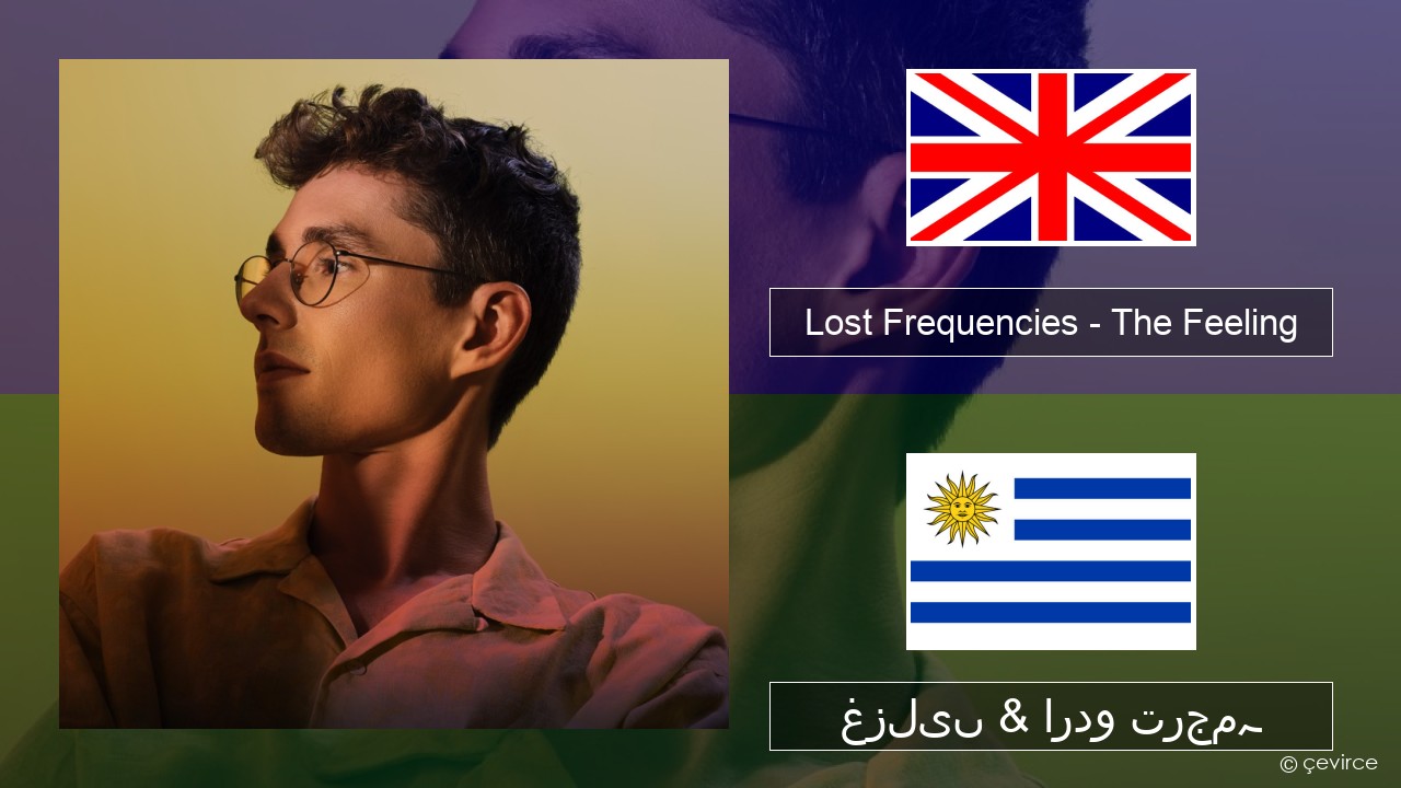Lost Frequencies – The Feeling انگریزی غزلیں & اردو ترجمہ