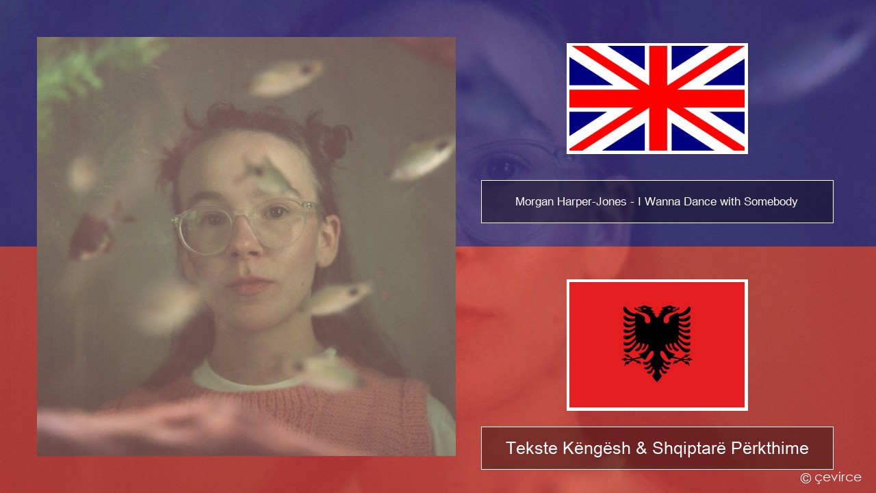 Morgan Harper-Jones – I Wanna Dance with Somebody (Who Loves Me) Anglisht Tekste Këngësh & Shqiptarë Përkthime