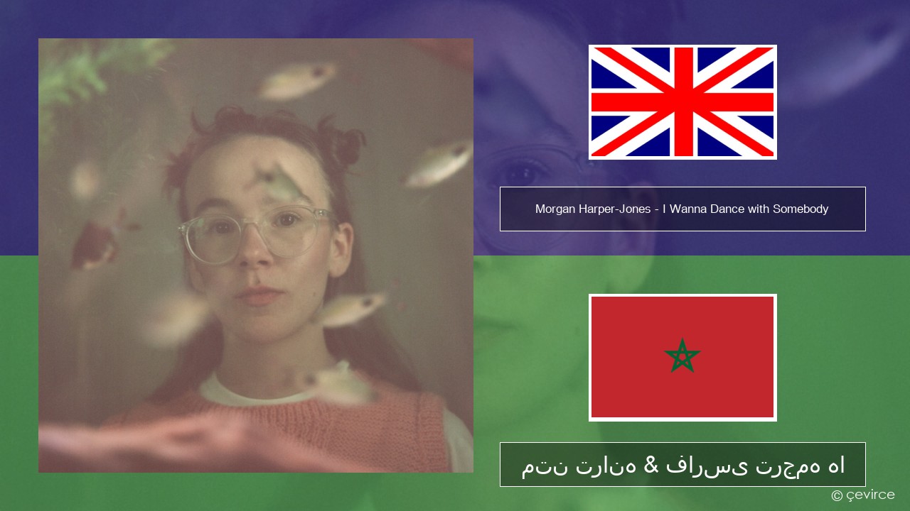 Morgan Harper-Jones – I Wanna Dance with Somebody (Who Loves Me) فارسی متن ترانه & فارسی ترجمه ها