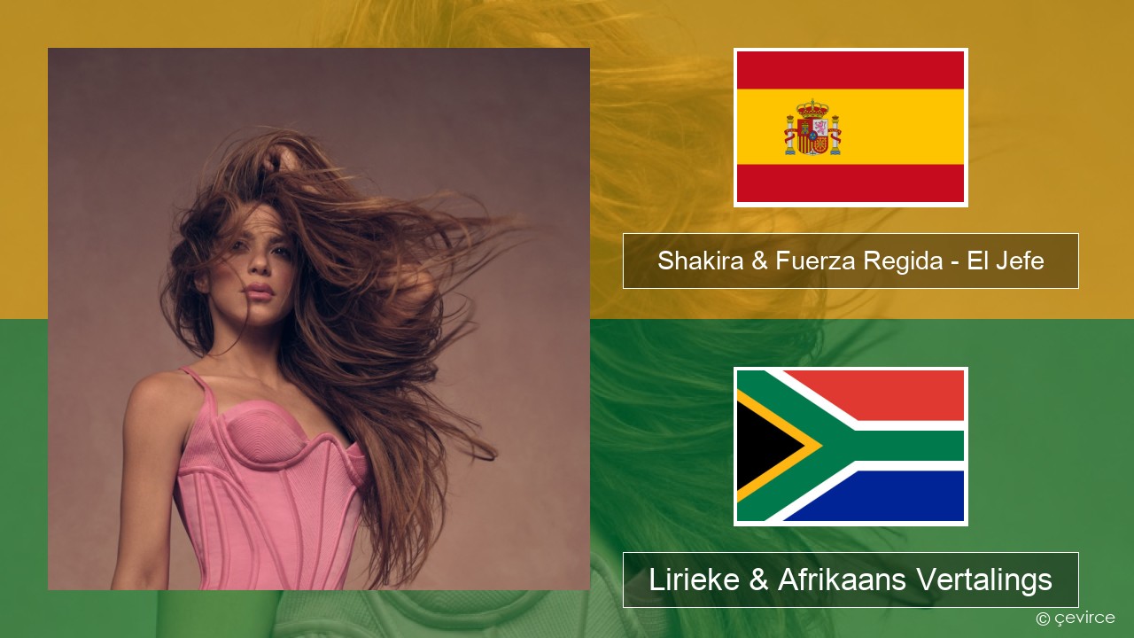 Shakira & Fuerza Regida – El Jefe Spaanse Lirieke & Afrikaans Vertalings