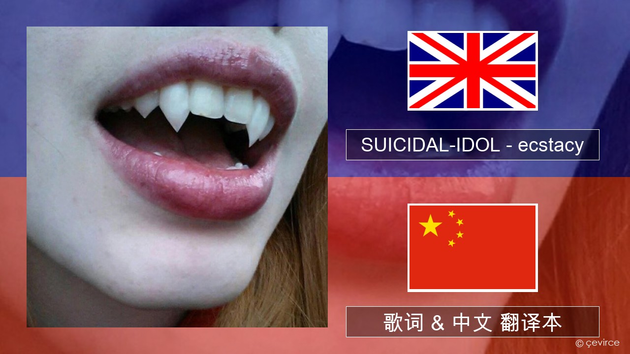SUICIDAL-IDOL – ecstacy (slowed) 英语 歌词 & 中文 翻译本
