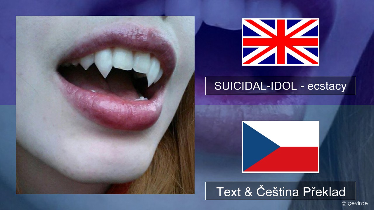 SUICIDAL-IDOL – ecstacy (slowed) Anglický Text & Čeština Překlad