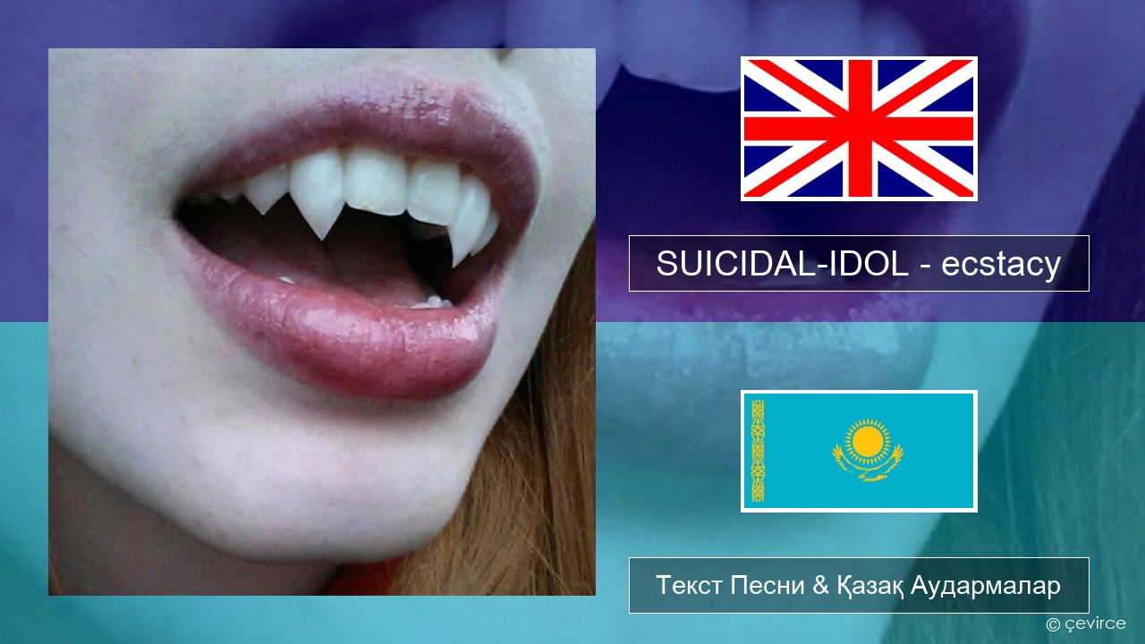 SUICIDAL-IDOL – ecstacy (slowed) Ағылшын Текст Песни & Қазақ Аудармалар
