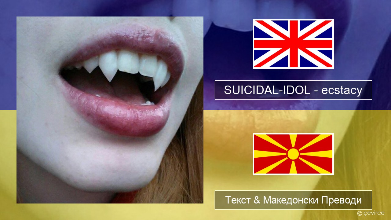 SUICIDAL-IDOL – ecstacy (slowed) Англиски Текст & Македонски Преводи