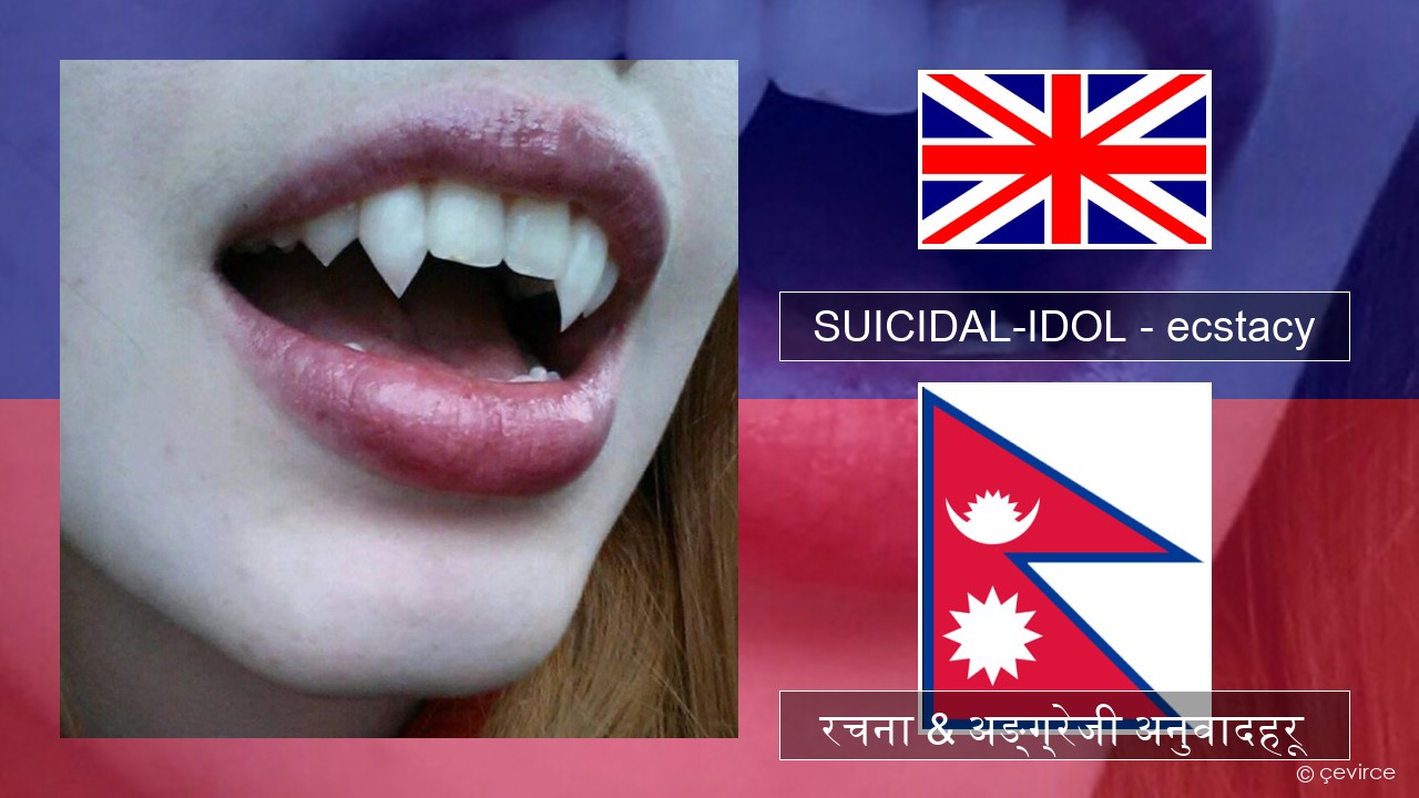 SUICIDAL-IDOL – ecstacy (slowed) अंग्रेजि रचना & अङ्ग्रेजी अनुवादहरू