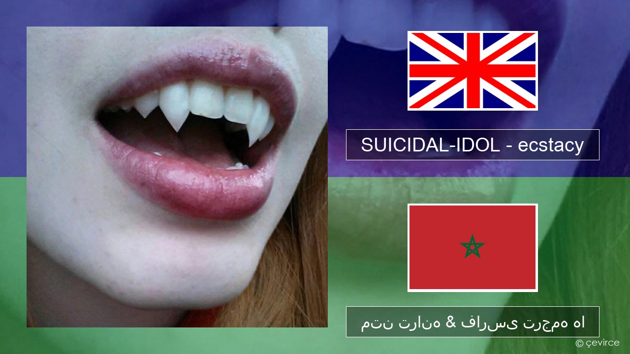 SUICIDAL-IDOL – ecstacy (slowed) فارسی متن ترانه & فارسی ترجمه ها
