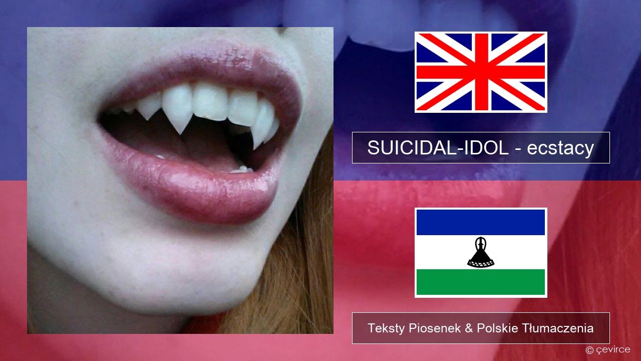SUICIDAL-IDOL – ecstacy (slowed) Polski Teksty Piosenek & Polskie Tłumaczenia