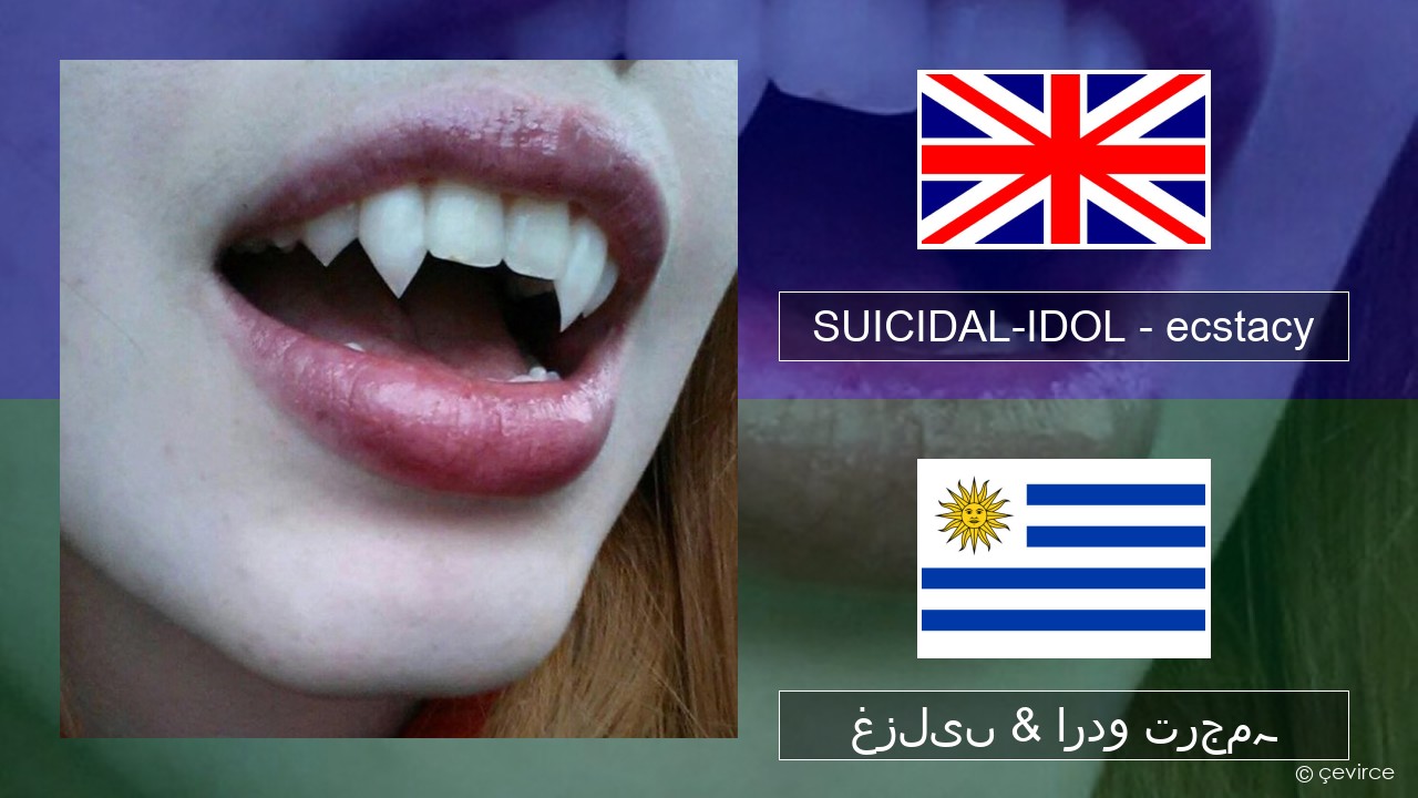 SUICIDAL-IDOL – ecstacy (slowed) انگریزی غزلیں & اردو ترجمہ