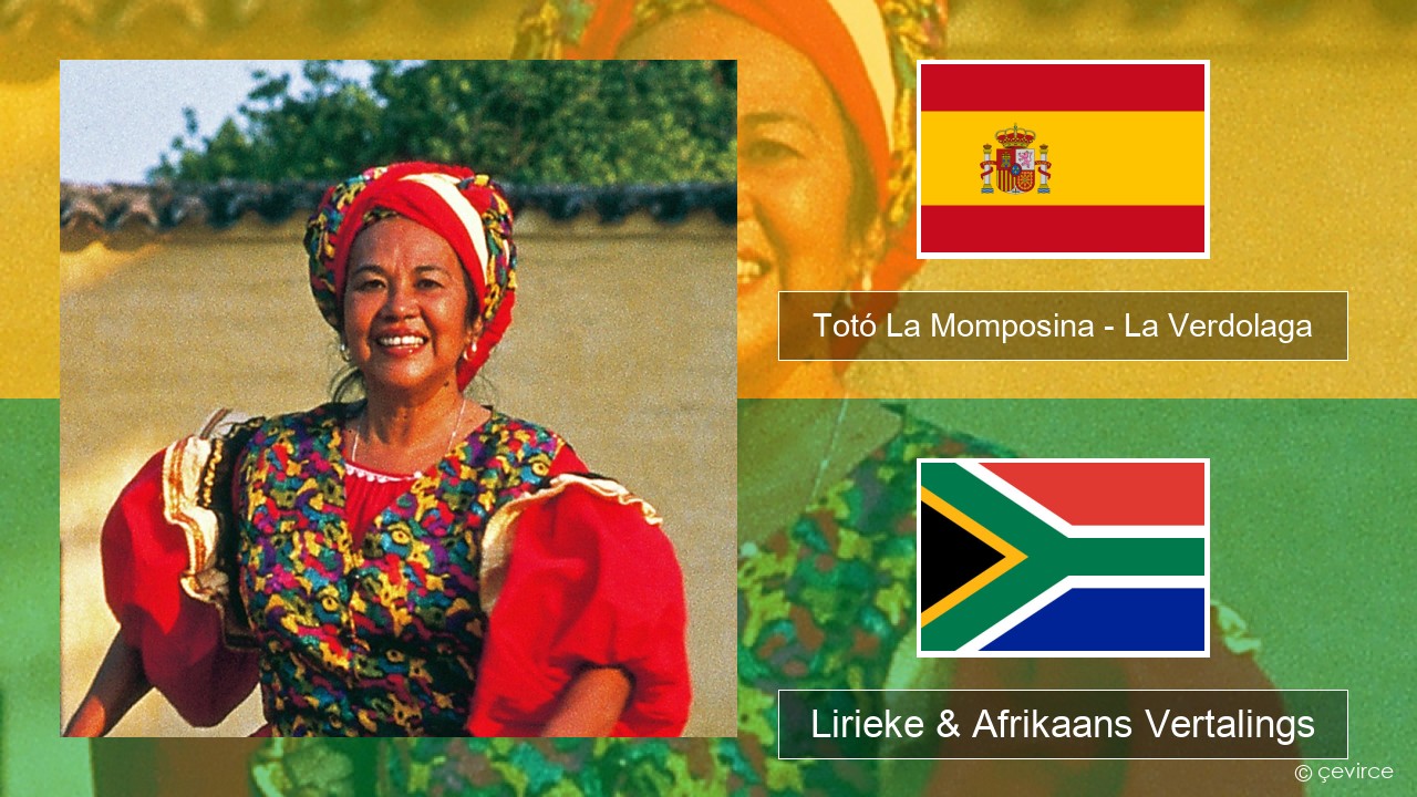 Totó La Momposina – La Verdolaga Spaanse Lirieke & Afrikaans Vertalings