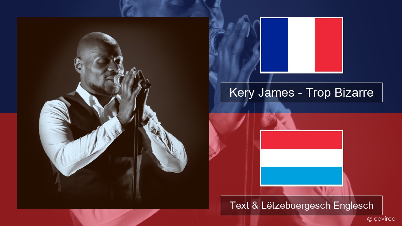 Kery James – Trop Bizarre (feat. Alonzo, Sadek & Kofs) Franséisch Text & Lëtzebuergesch Englesch