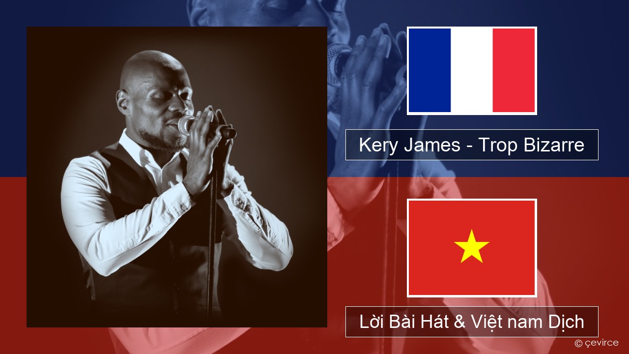 Kery James – Trop Bizarre (feat. Alonzo, Sadek & Kofs) Pháp, Lời Bài Hát & Việt nam Dịch