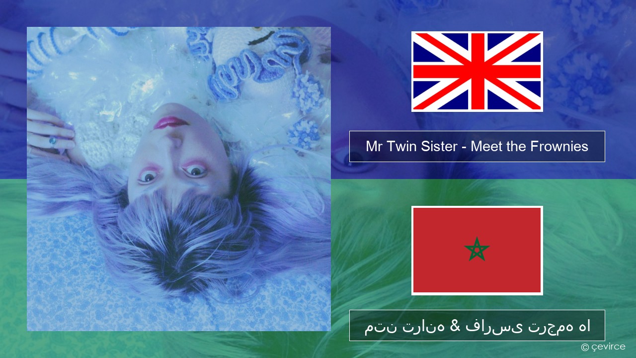 Mr Twin Sister – Meet the Frownies فارسی متن ترانه & فارسی ترجمه ها