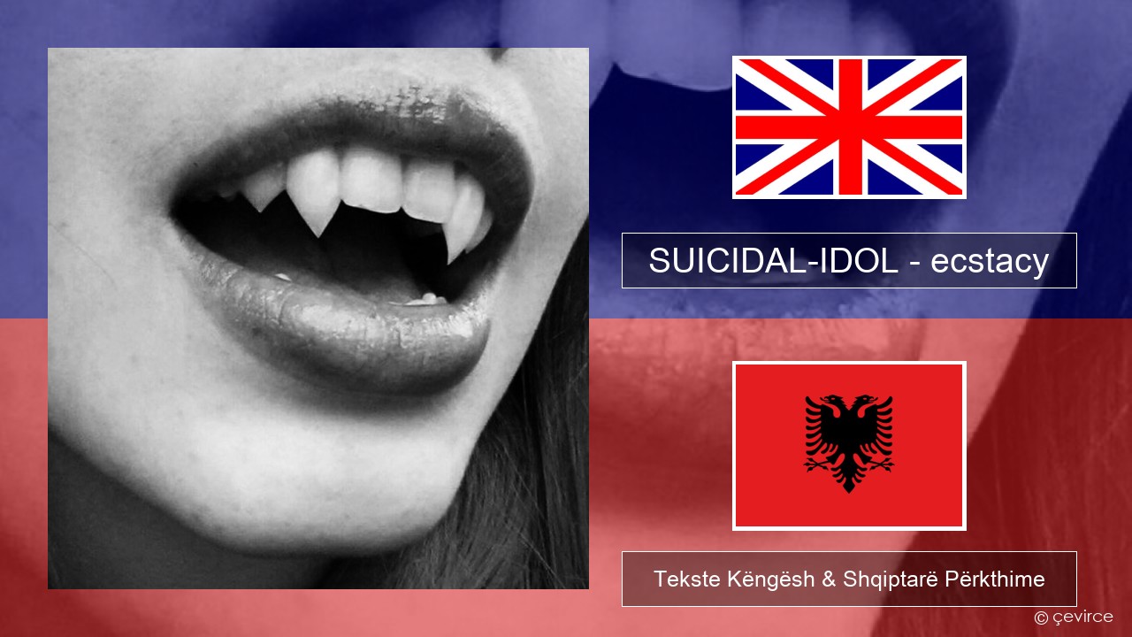 SUICIDAL-IDOL – ecstacy (super slowed) Anglisht Tekste Këngësh & Shqiptarë Përkthime