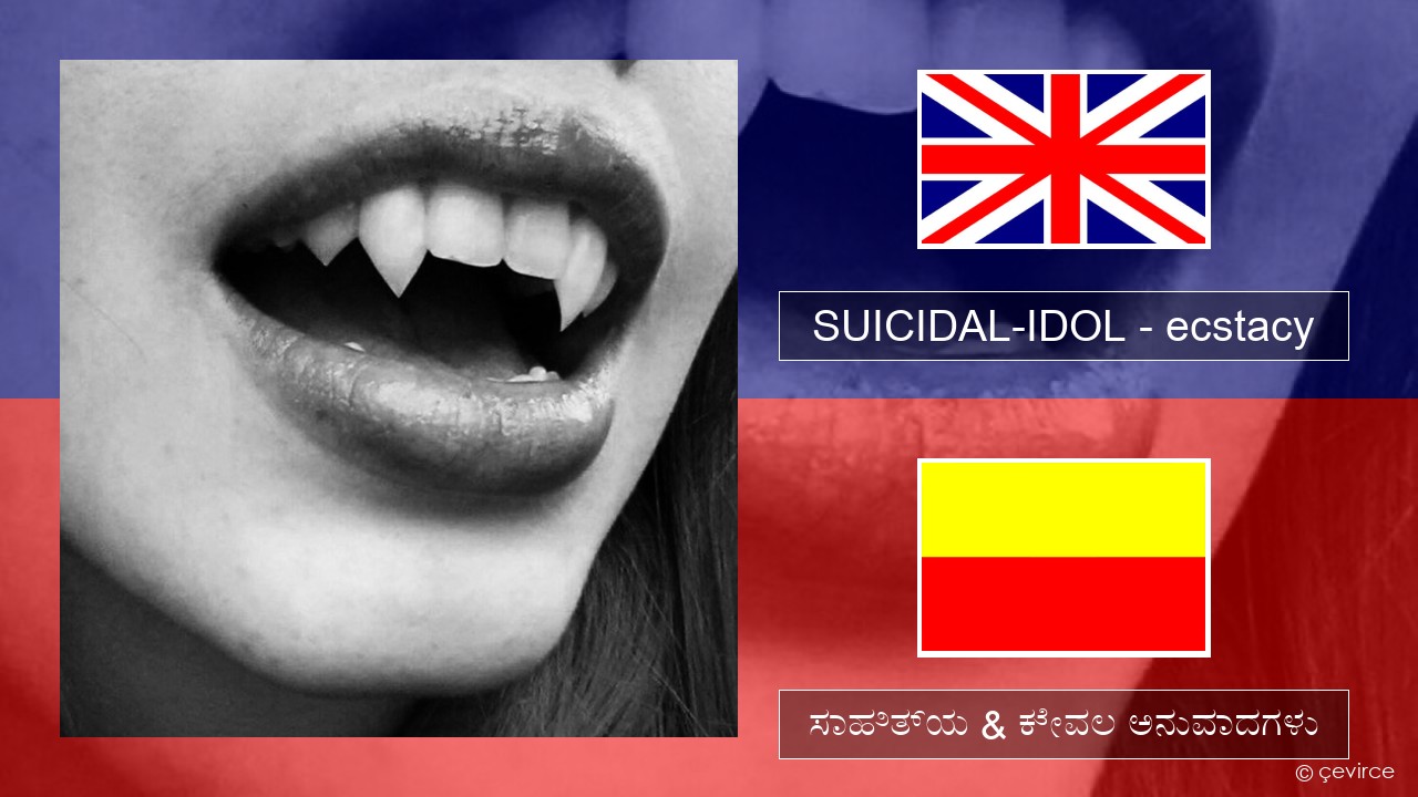 SUICIDAL-IDOL – ecstacy (super slowed) ಇಂಗ್ಲೀಷ್ ಸಾಹಿತ್ಯ & ಕೇವಲ ಅನುವಾದಗಳು