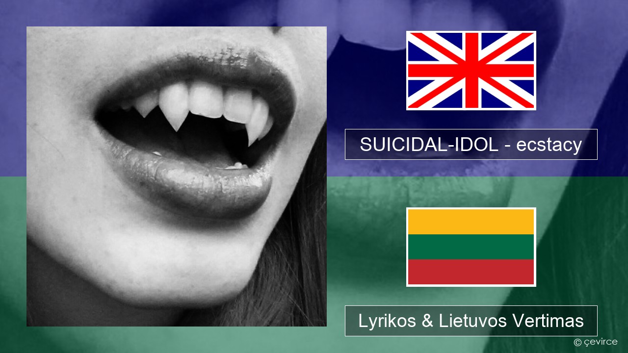 SUICIDAL-IDOL – ecstacy (super slowed) Anglų Lyrikos & Lietuvos Vertimas