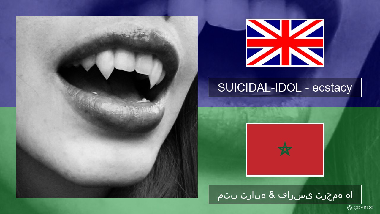 SUICIDAL-IDOL – ecstacy (super slowed) فارسی متن ترانه & فارسی ترجمه ها