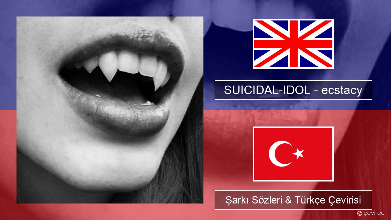SUICIDAL-IDOL – ecstacy (super slowed) İngilizce Şarkı Sözleri & Türkçe Çevirisi