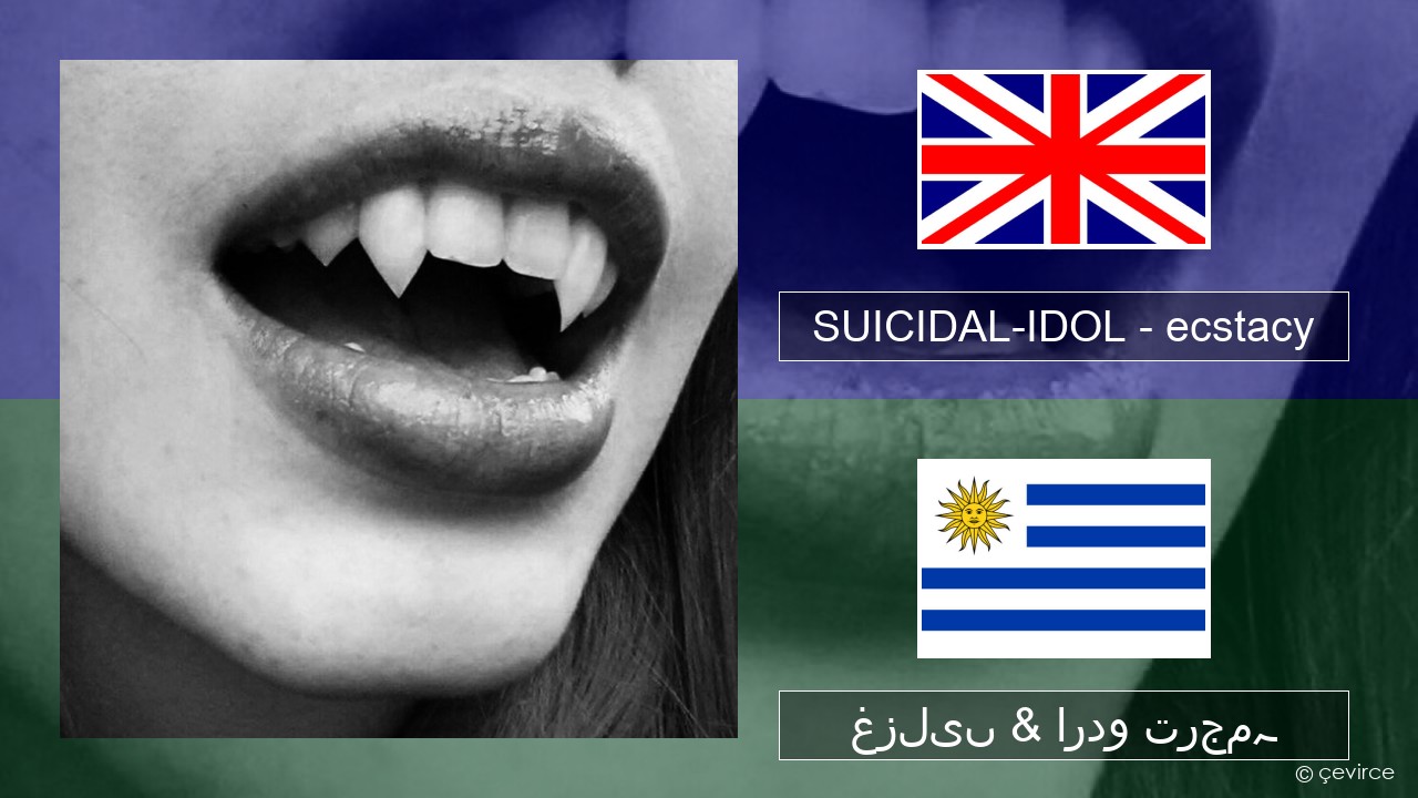 SUICIDAL-IDOL – ecstacy (super slowed) انگریزی غزلیں & اردو ترجمہ