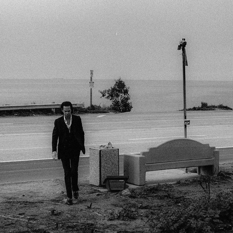 Nick Cave