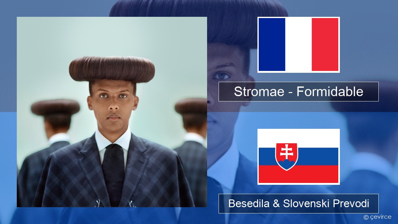Stromae – Formidable Francoski Besedila & Slovenski Prevodi