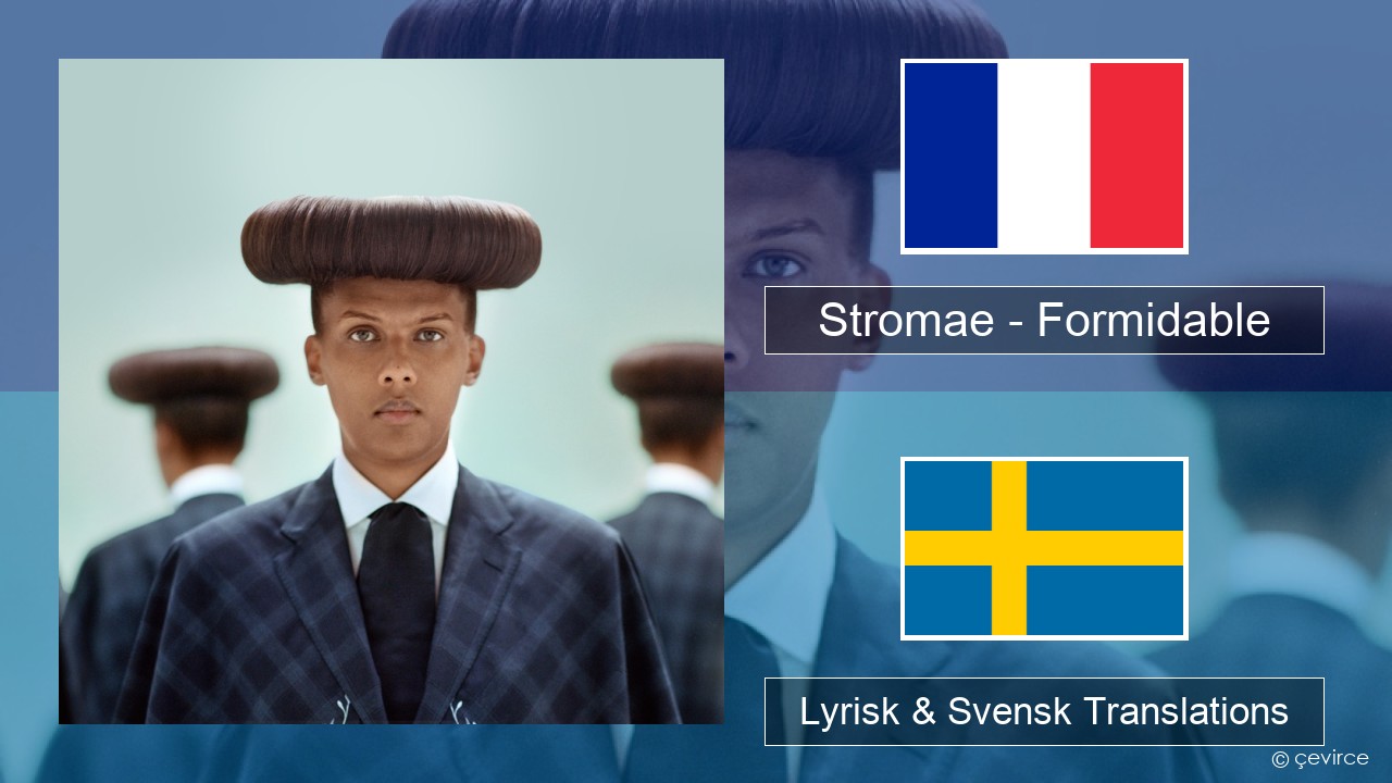 Stromae – Formidable Fransk Lyrisk & Svensk Translations