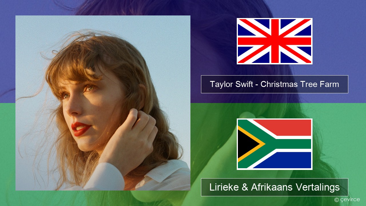 Taylor Swift – Christmas Tree Farm Engels Lirieke & Afrikaans Vertalings