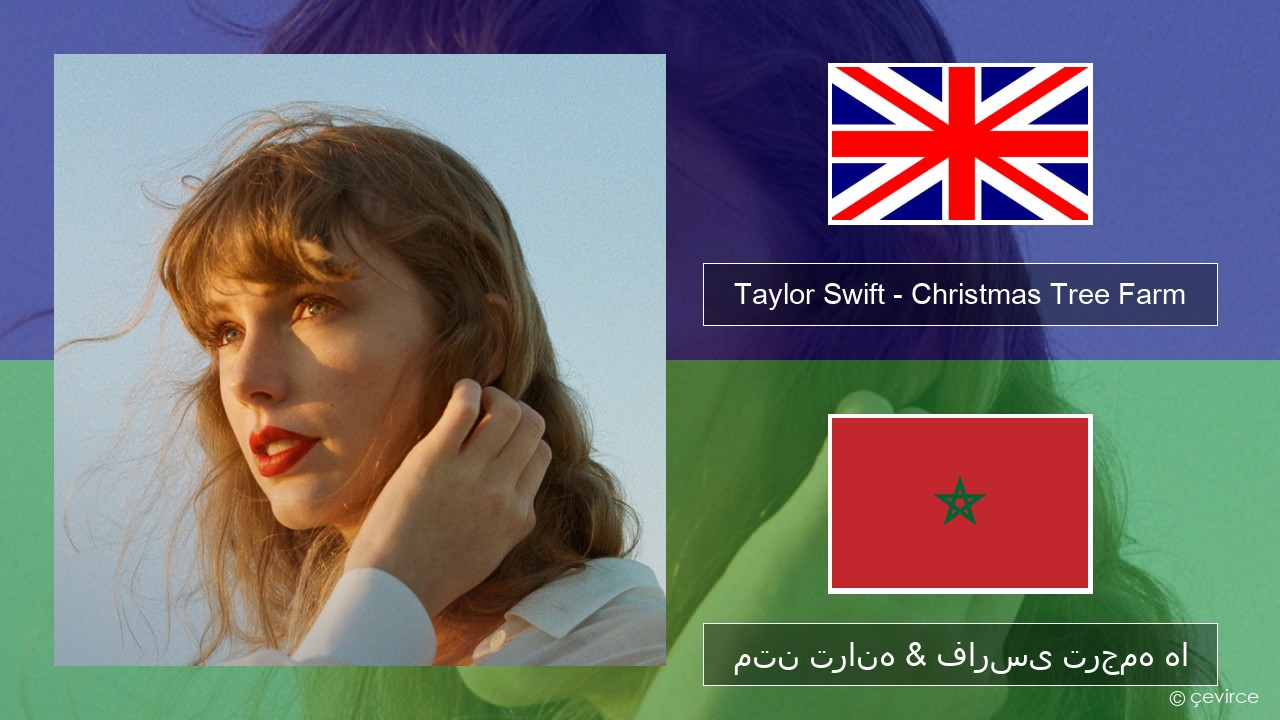 Taylor Swift – Christmas Tree Farm فارسی متن ترانه & فارسی ترجمه ها