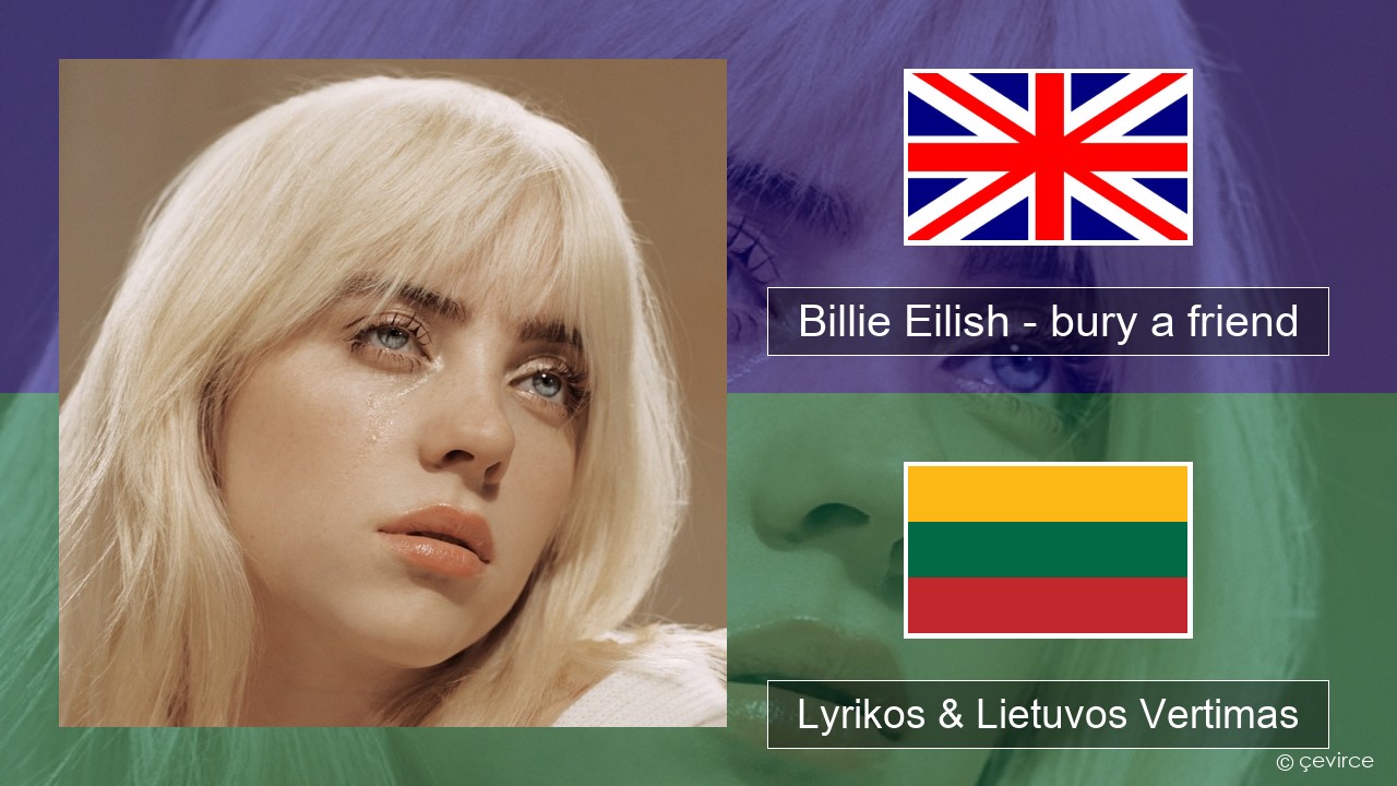 Billie Eilish – bury a friend Anglų Lyrikos & Lietuvos Vertimas