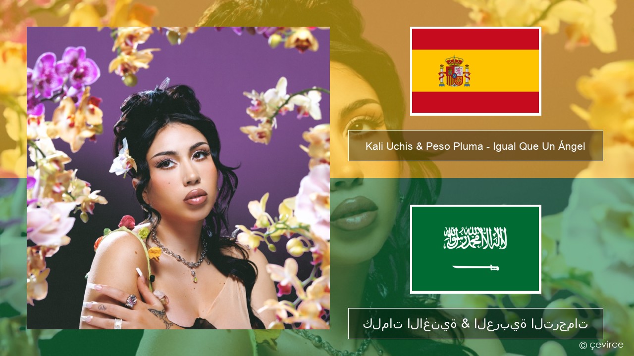 Kali Uchis & Peso Pluma – Igual Que Un Ángel الإسبانية كلمات الاغنية & العربية الترجمات