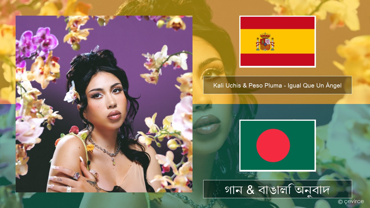 Kali Uchis & Peso Pluma – Igual Que Un Ángel স্প্যানিশ গান & বাঙালি অনুবাদ