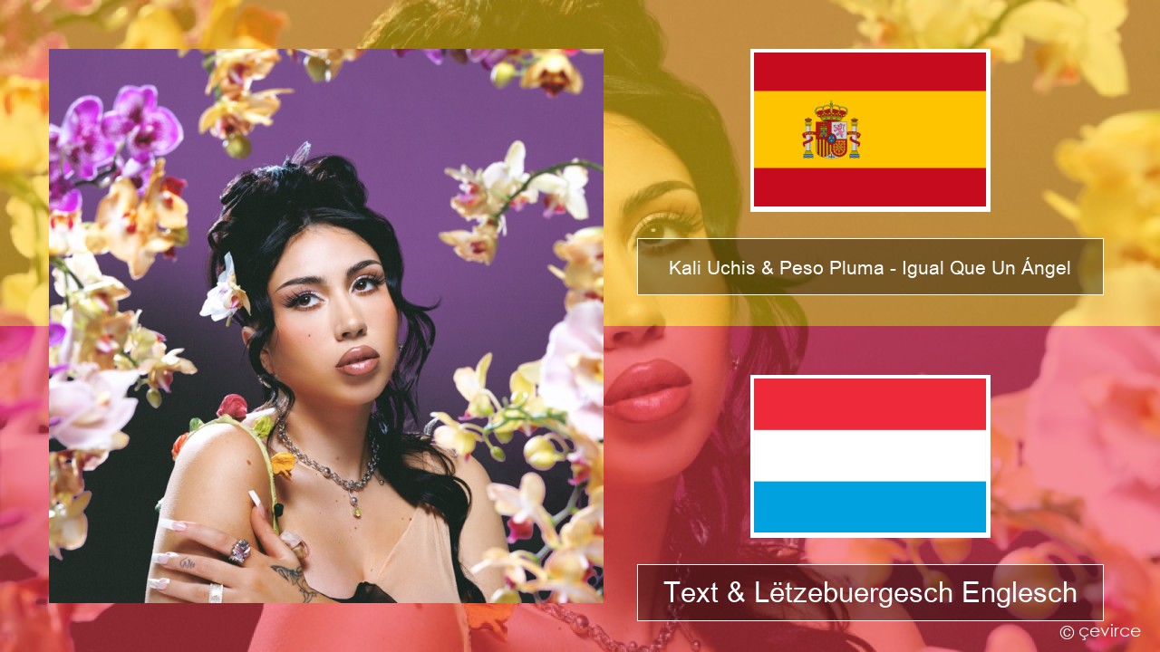 Kali Uchis & Peso Pluma – Igual Que Un Ángel Spuenesch Text & Lëtzebuergesch Englesch