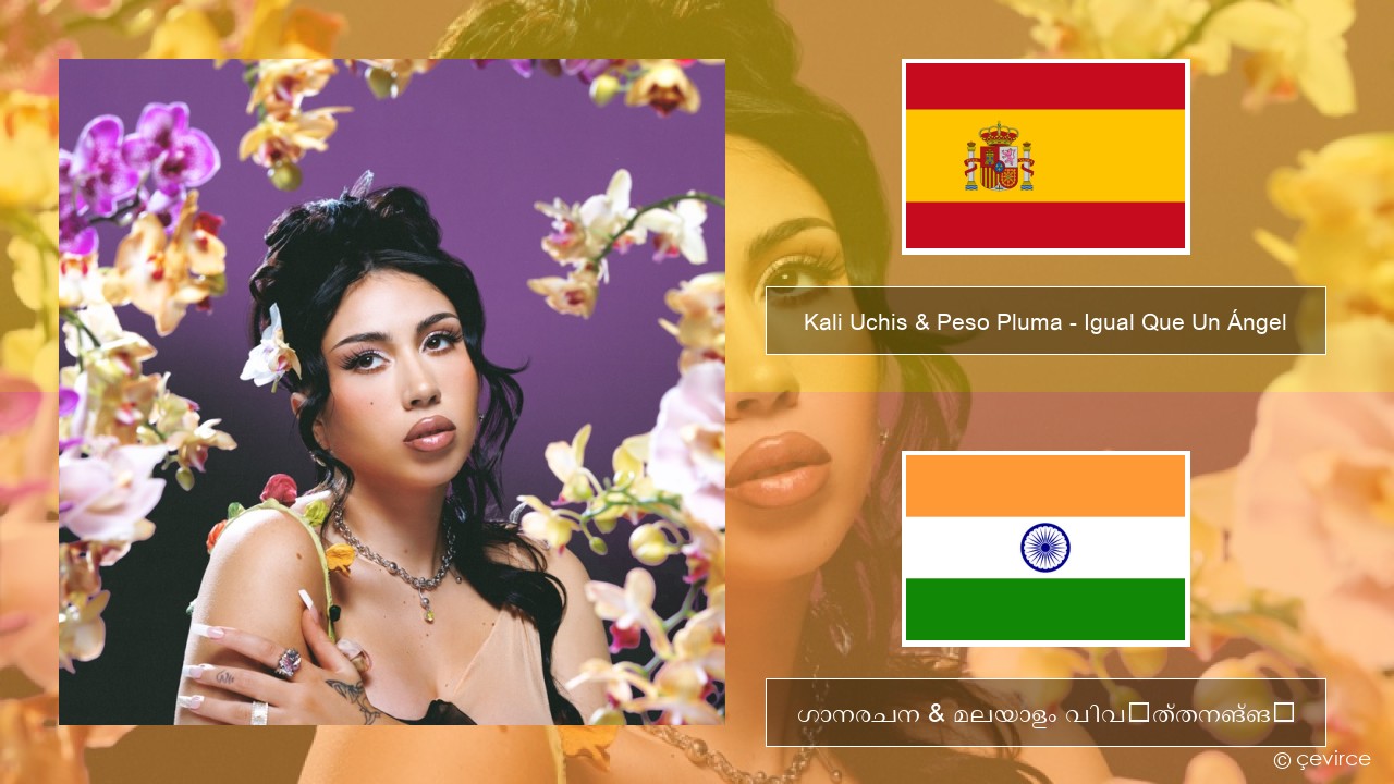 Kali Uchis & Peso Pluma – Igual Que Un Ángel സ്പാനിഷ് ഗാനരചന & മലയാളം വിവർത്തനങ്ങൾ
