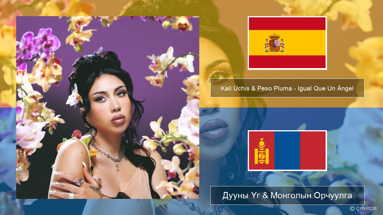 Kali Uchis & Peso Pluma – Igual Que Un Ángel Испани хэл Дууны Үг & Монголын Орчуулга
