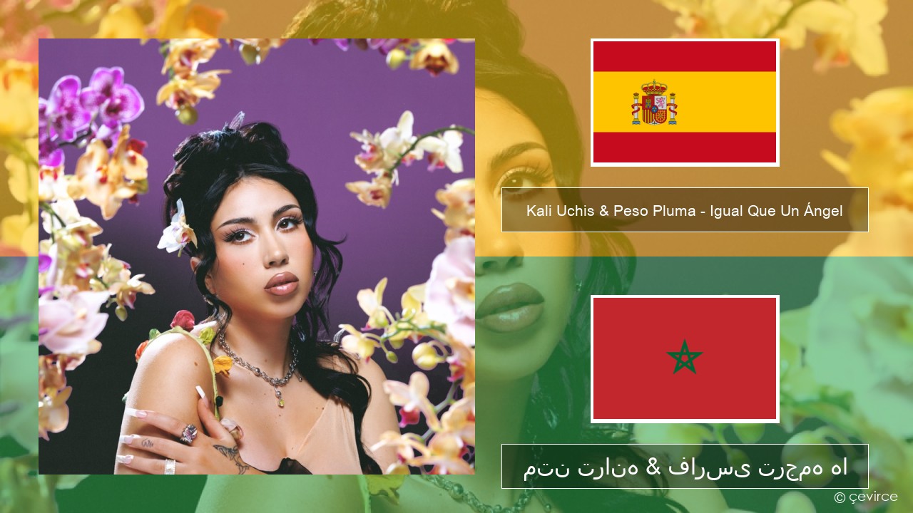 Kali Uchis & Peso Pluma – Igual Que Un Ángel اسپانیایی متن ترانه & فارسی ترجمه ها