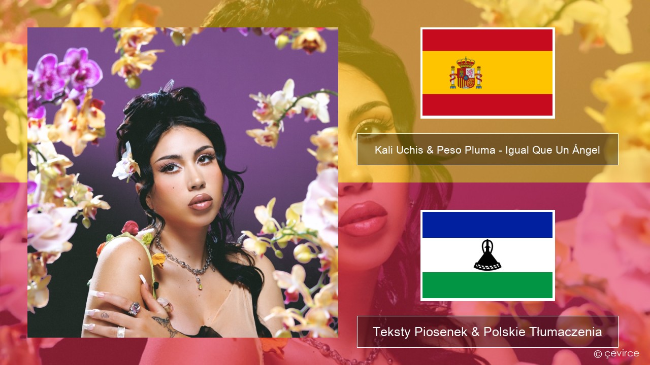 Kali Uchis & Peso Pluma – Igual Que Un Ángel Spanish Teksty Piosenek & Polskie Tłumaczenia