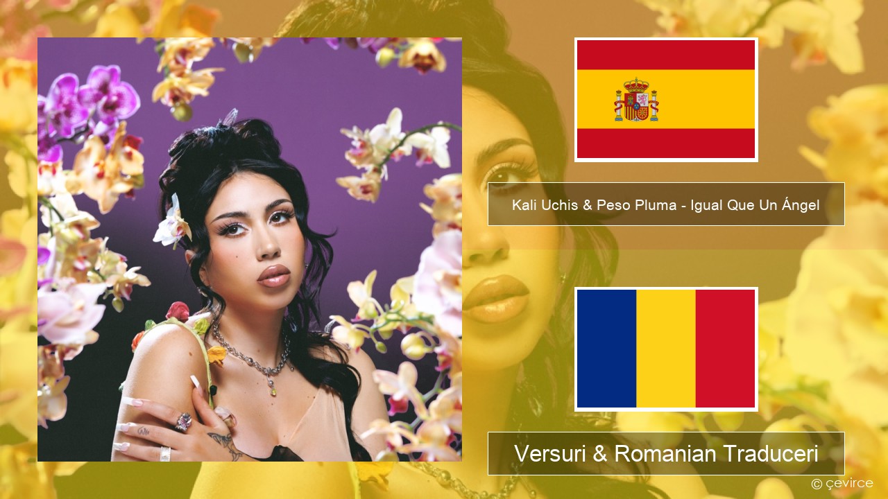 Kali Uchis & Peso Pluma – Igual Que Un Ángel Spaniolă Versuri & Romanian Traduceri