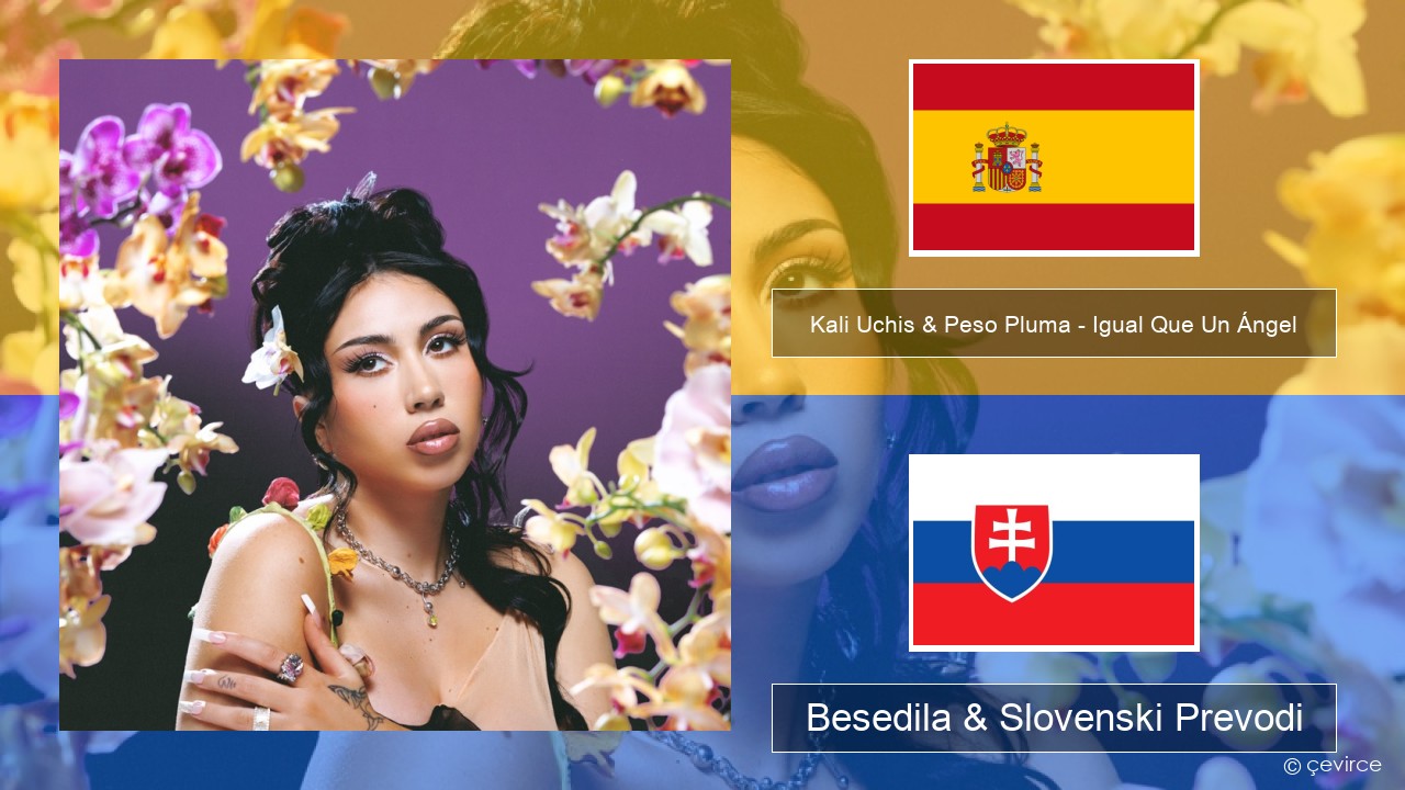Kali Uchis & Peso Pluma – Igual Que Un Ángel Španščina Besedila & Slovenski Prevodi