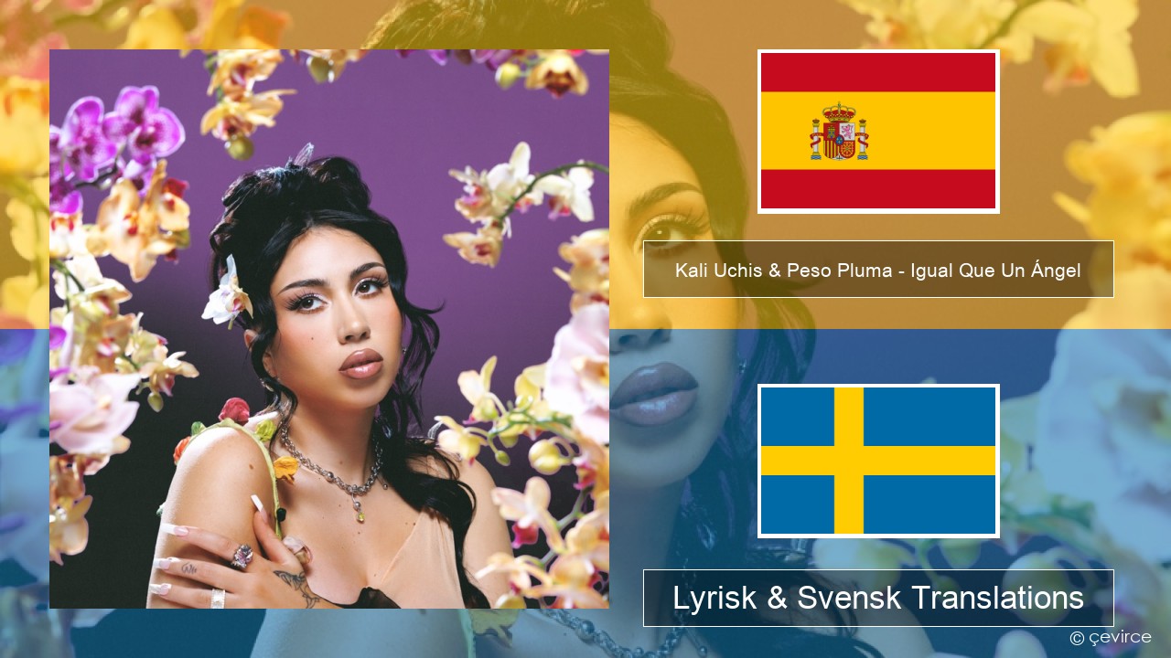 Kali Uchis & Peso Pluma – Igual Que Un Ángel Spansk Lyrisk & Svensk Translations