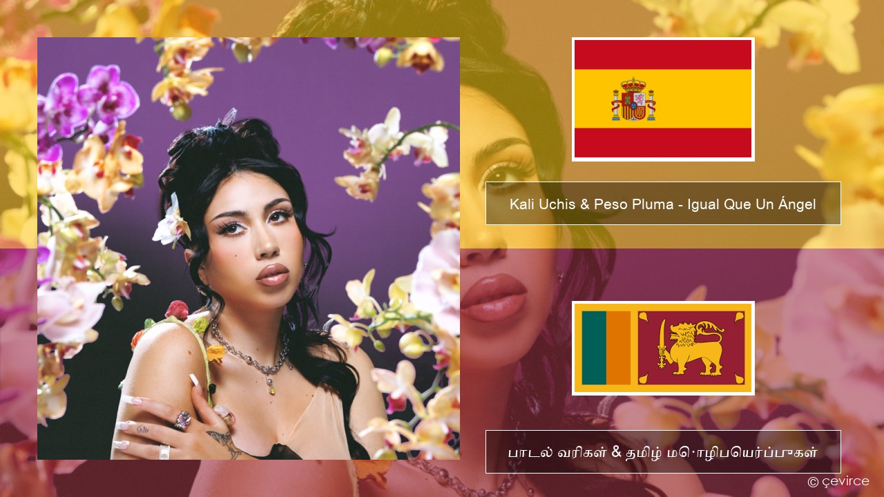 Kali Uchis & Peso Pluma – Igual Que Un Ángel ஸ்பானிஷ் பாடல் வரிகள் & தமிழ் மொழிபெயர்ப்புகள்