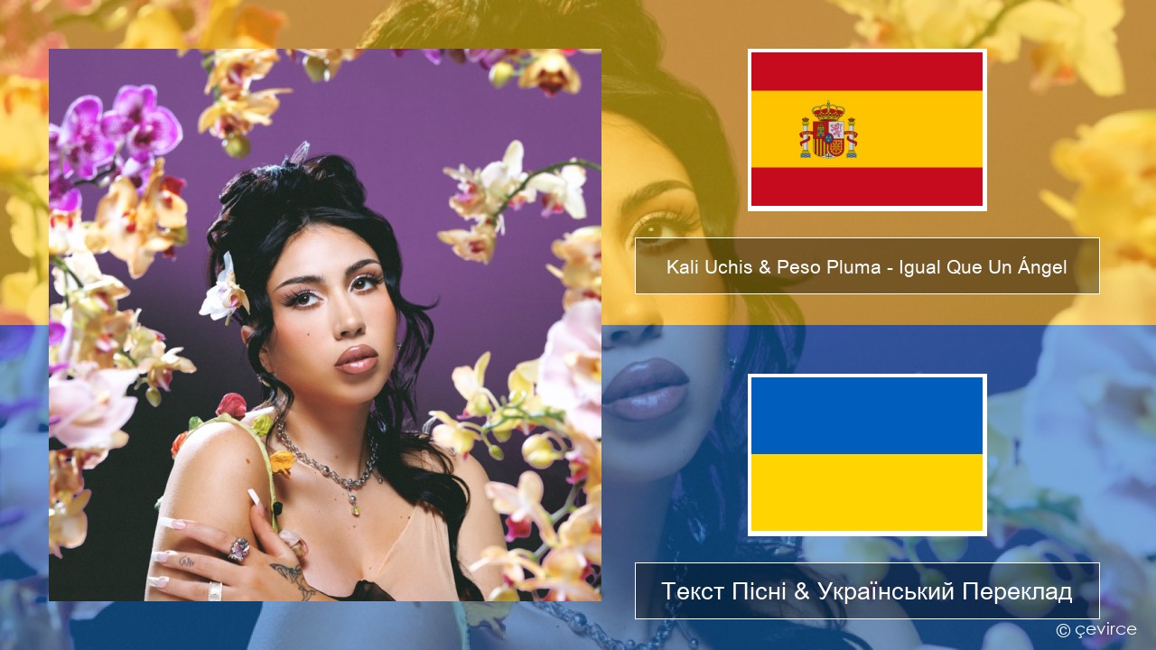 Kali Uchis & Peso Pluma – Igual Que Un Ángel Іспанський Текст Пісні & Український Переклад