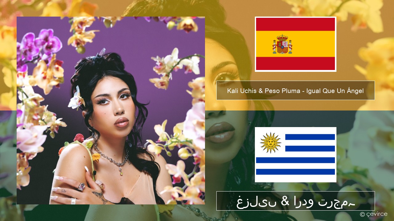 Kali Uchis & Peso Pluma – Igual Que Un Ángel ہسپانوی غزلیں & اردو ترجمہ