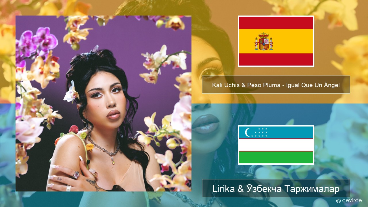 Kali Uchis & Peso Pluma – Igual Que Un Ángel Испанча Lirika & Ўзбекча (Кирил) Таржималар