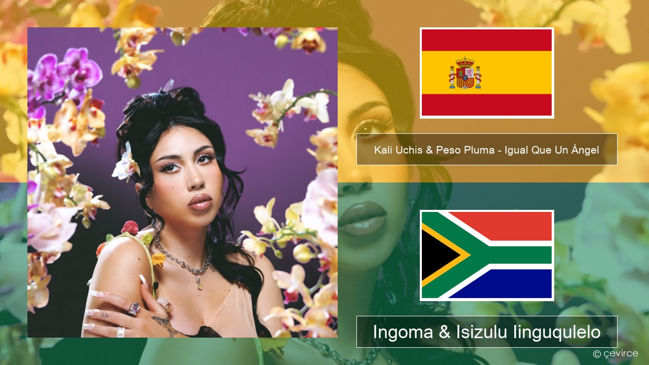 Kali Uchis & Peso Pluma – Igual Que Un Ángel Isispanish Ingoma & Isizulu Iinguqulelo